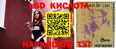 Альфа ПВП Канаш