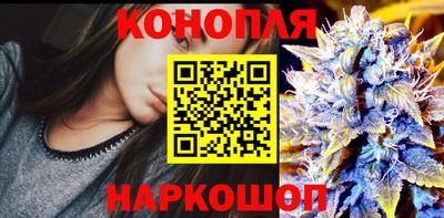 крисы Кандалакша