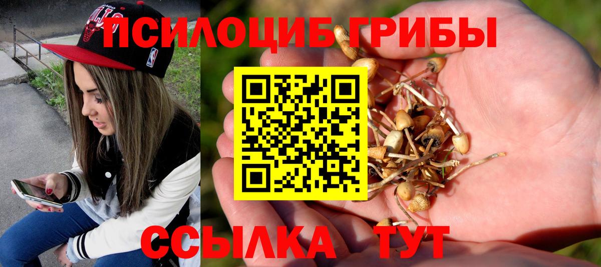 Лысьва  Галлюциногенные грибы Psilocybine cubensis  Вход с VPN  Галлюциногенные грибы GOLDEN TEACHER 